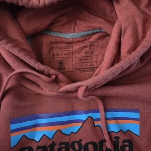 Patagonia Burgundy Hoodie with Mountain Design